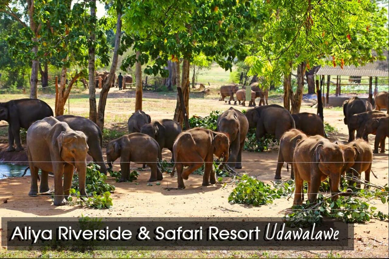 Aliya Riverside & Safari Resort Udawalawe Exterior foto