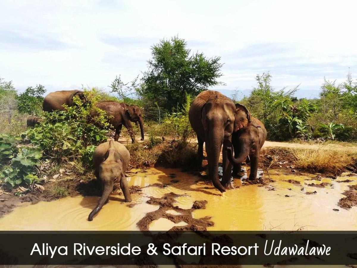 Aliya Riverside & Safari Resort Udawalawe Exterior foto